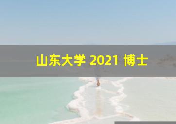 山东大学 2021 博士